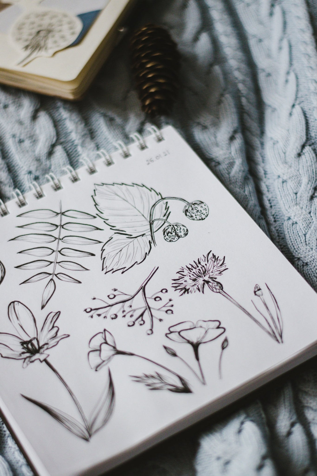 How Much Can You Improve Drawing Every Day For A Month – Antsy Labs