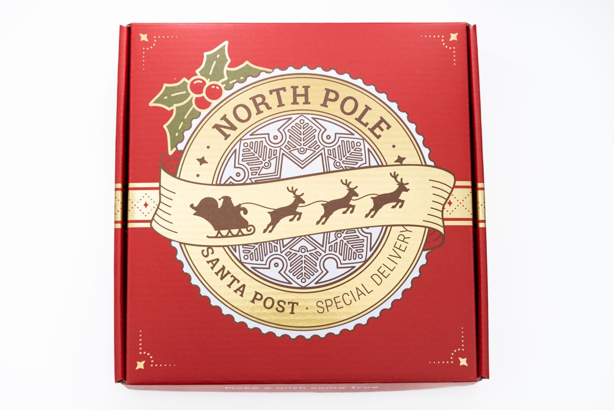 The Carol of the Coin (North Pole Delivery) - Paperback - Antsy Labs